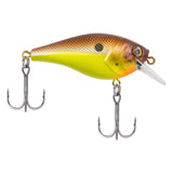 BERKLEY SQUAREBULL 5.5