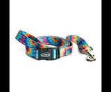 Chaco Dog Leash