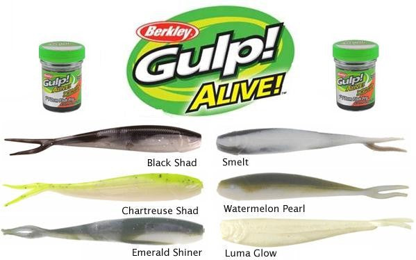 Berkley Gulp! Alive! Minnow Bait, Emerald Shiner